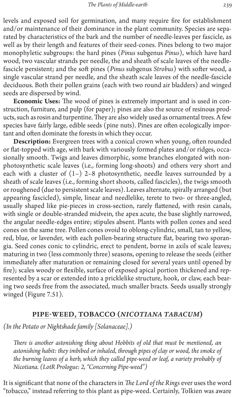 Illustration for article titled Everything You Never Thought You Needed to Know About Pipe-Weed in Middle-Earth